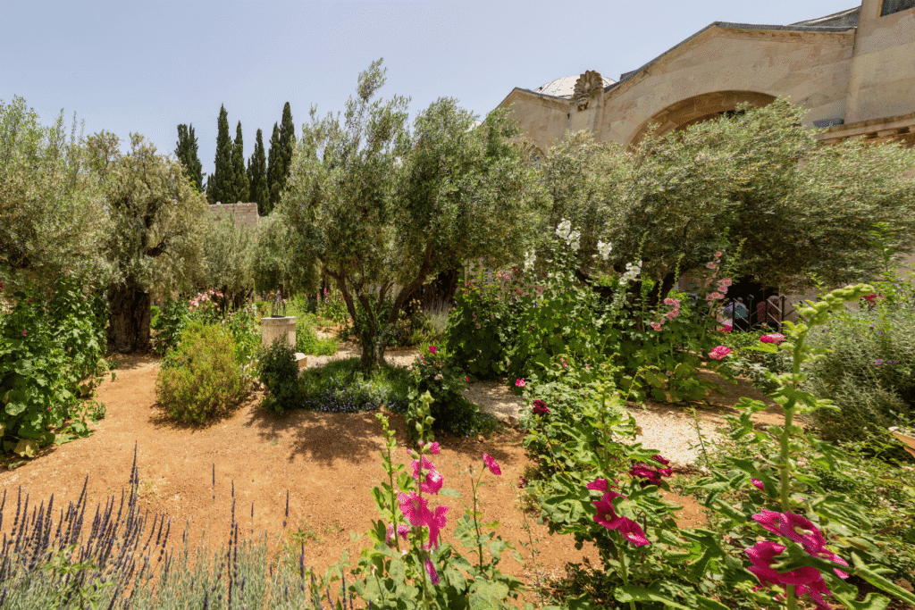 The Story Behind Levant No. 2: A Sicilian Morning in a Bottle 1 sicily garden that inspired Levant No. 2